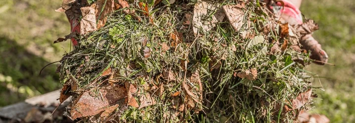 Person hält Gartenabfälle in den Händen